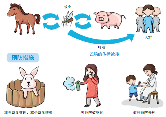 10.png 图片