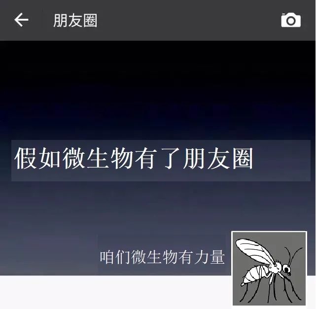 朋友圈开头3.jpg